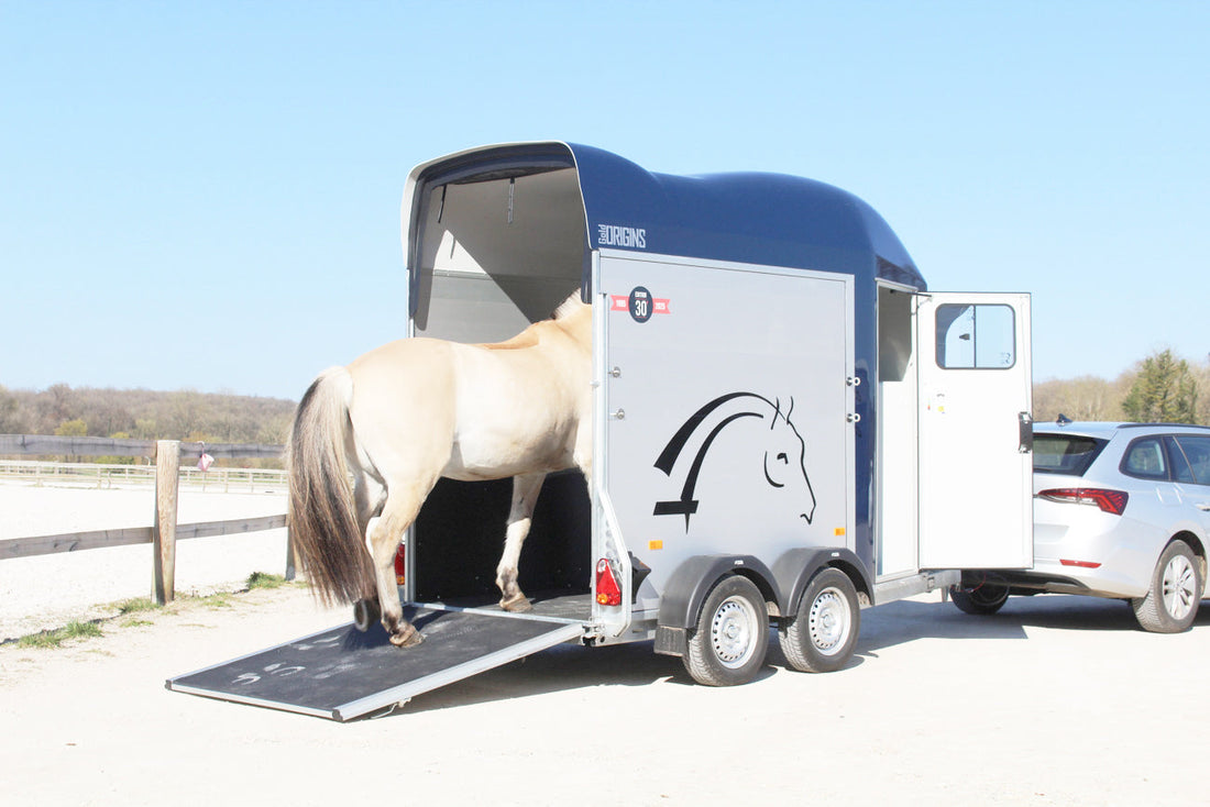 Trailer für 1 Horse Gold One Origins